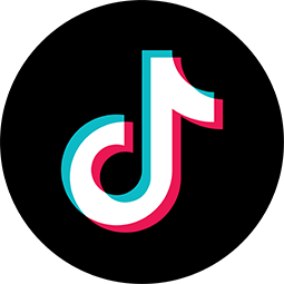 Icona TikTok